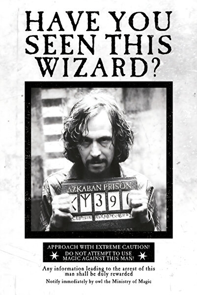 Hayal Poster Harry Potter 20x30 UV Baskı MDF Retro Ahşap Poster Tablo
