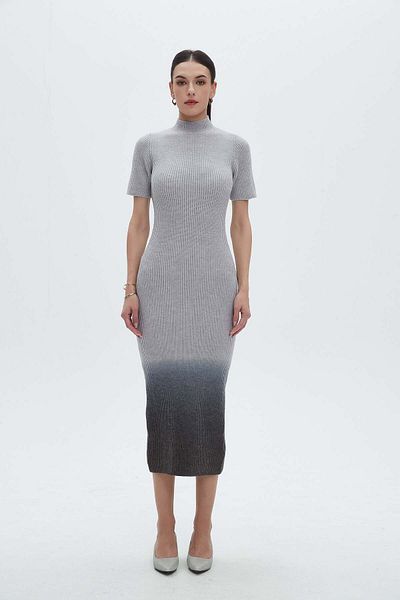 Nichii Color-Block High Neck Midi Dress with Half Sleeves