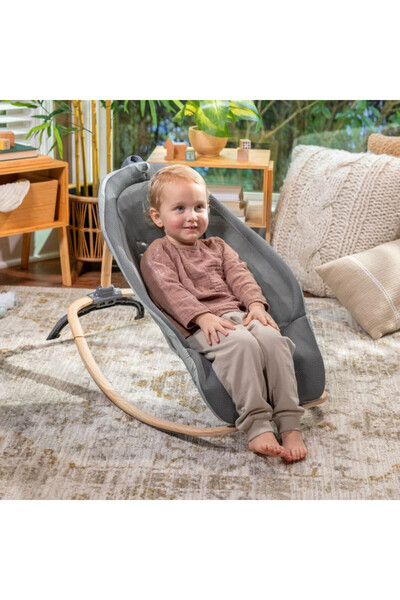Ingenuity Every Season Rocking Seat - Wesley, 0 - 30 Months