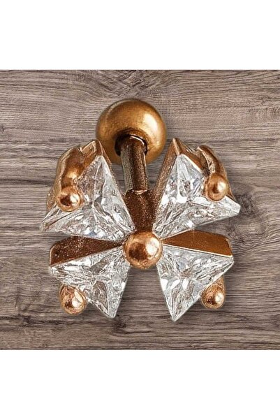 Begonia Accessories 925 ayar gümüş ROSE Kıkırdak Helix Tragus Piercing lobe uyumlu piercing küpe