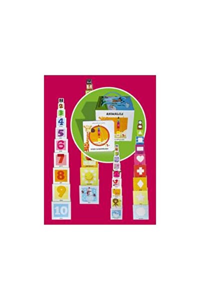 Editura Arc Citeste si construieste. Carte si cuburi de constr