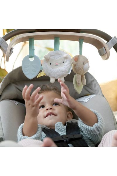 Ingenuity Wonder & Wood Carrier Toybar, 0 - 12 months
