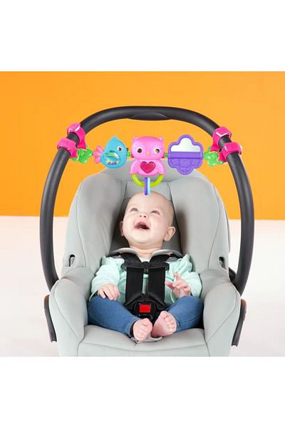 Bright Starts Busy Birdies Carrier Toy Bar Take-Along Toy Owl,0 - 36 months