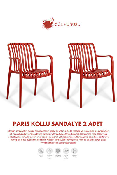 Daim Plastik PARİS | 2 ADET KOLLU LUX CAFE & RESTAURANT SANDALYESİ