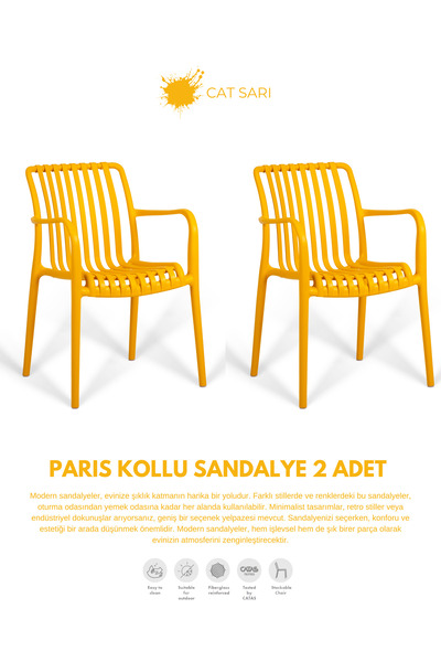 Daim Plastik PARİS | 2 ADET KOLLU LUX CAFE & RESTAURANT SANDALYESİ
