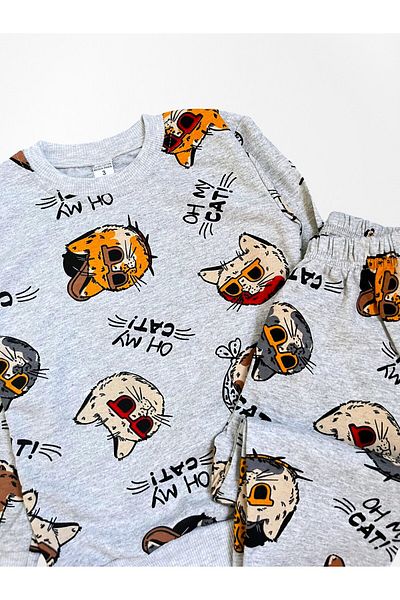 Pajama Shop Boys' Cotton Fabric Hooded Gray Oh My Cat Cat Pattern Long Sleeve Winter Pajamas Set