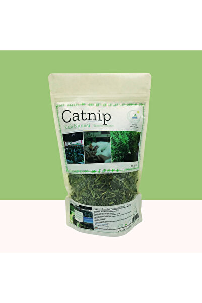 Haven Herbs & Blends Catnip (Kedi Nanesi) | Bitki Çayı 50gr | 2025 Mahsûlü