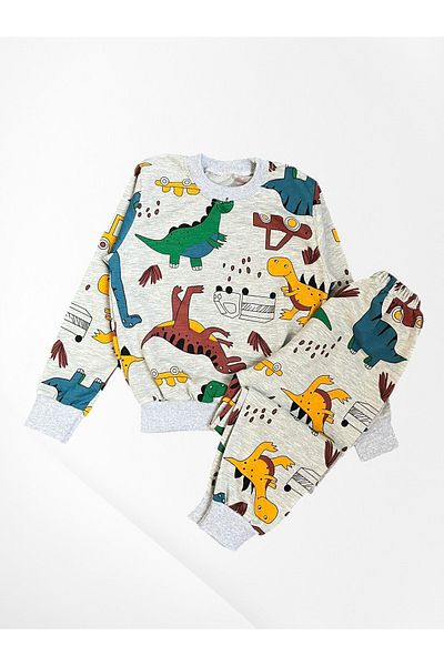 Pajama Shop Boys' Cotton Fabric Hooded Gray Dinosaur Car Pattern Long Sleeve Winter Pajamas Set