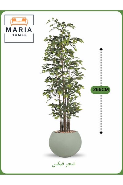 MARIA HOMES Artificial Ficus Tree 265 cm – Tall Decorative Indoor Plant with Sage Green Pot