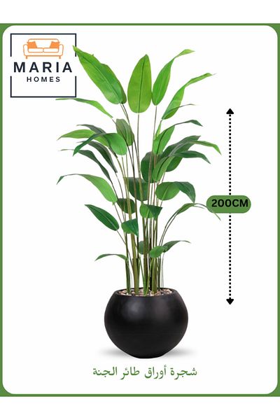 MARIA HOMES Artificial Bird of Paradise Tree 200 cm – Decorative Indoor Plant with Black Pot
