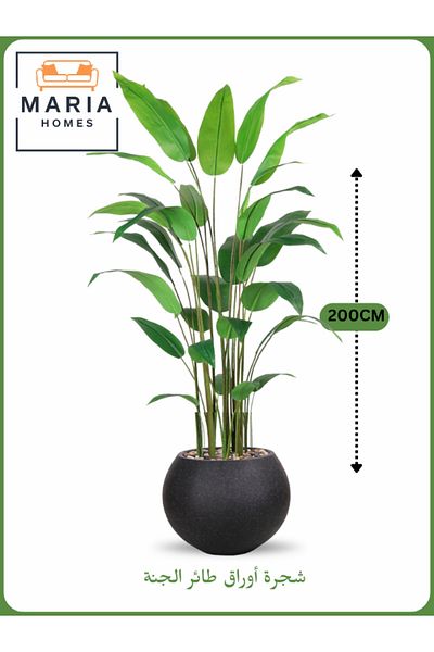 MARIA HOMES Artificial Bird of Paradise Tree 200 cm – Decorative Indoor Plant with Black with silver dots Pot