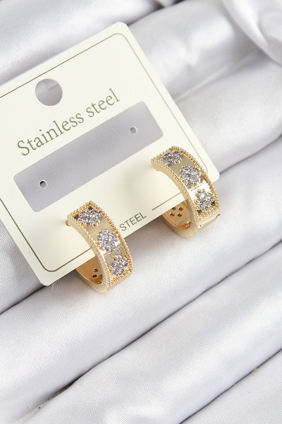 Skygo 316L Steel Zircon Stone Hoop Model Gold and Silver Color Women's Earrings - Tj-Bkp10922