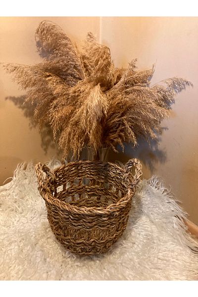 Paganca Small Size Handled Perforated Wicker Basket / Organizer / Flower Pot