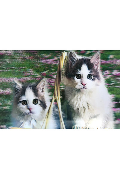 Generic Brand صورة ثلاثية الأبعاد لقطط لطيفة صورة قطة مزدوجة 40x60 سم