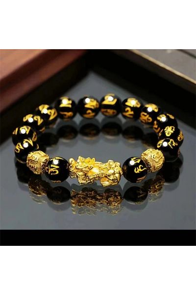 Choice ASL70432 Fashion Obsidian Bead Bracelet Pixiu Bracelet Wealth Lucky Change Bracelet Party Jewelry Gi