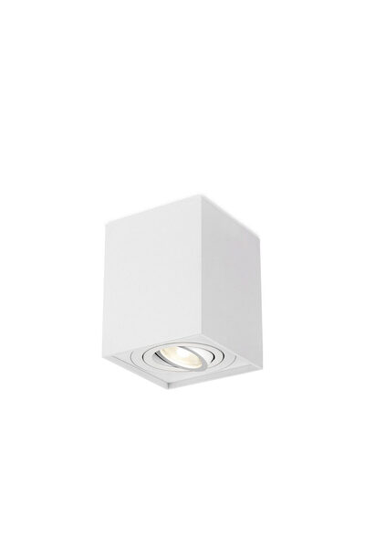Braytron CORP PATRAT 1XGU10 ALB GAMA SS
