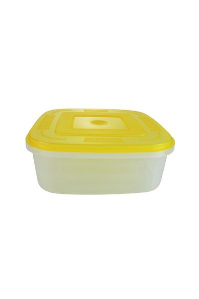 gogiva Food casserole with lid, 2.5 L, microwave and freezer safe