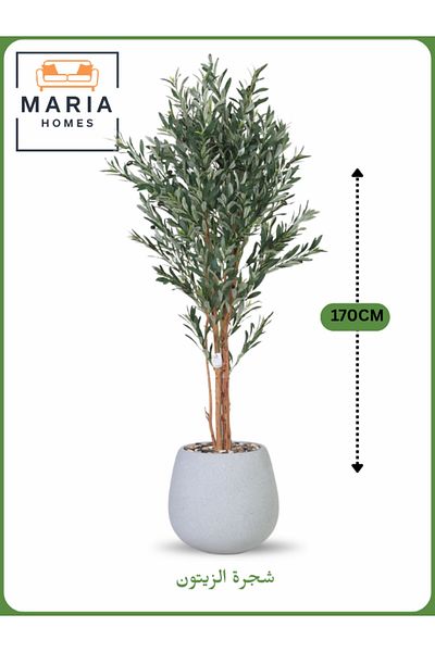 MARIA HOMES Artificial Olive Tree 170 cm – Decorative Indoor Tree with Gray Pot