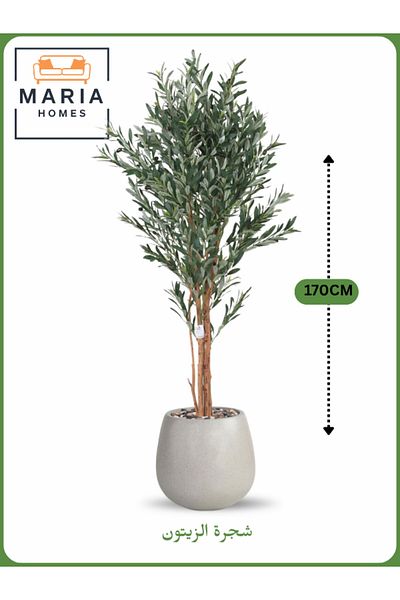 MARIA HOMES Artificial Olive Tree 170 cm – Decorative Indoor Tree with Light Gray Pot