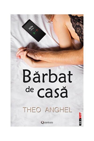 Editura Quantum Publishers Barbat de casa, Theo Anghel