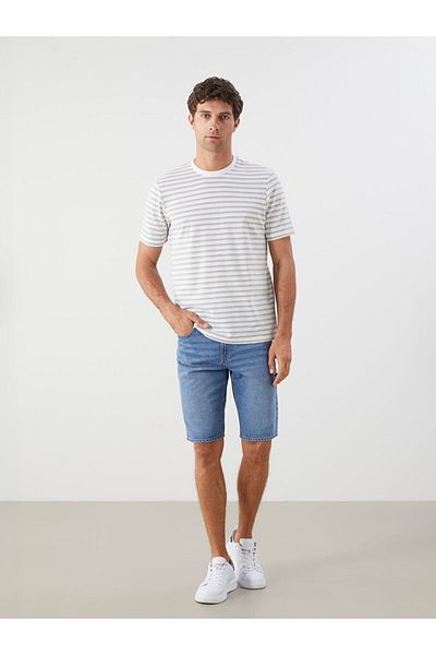 LC Waikiki New Season Crew Neck Striped Men's T-Shirt - S5Qk53Z8