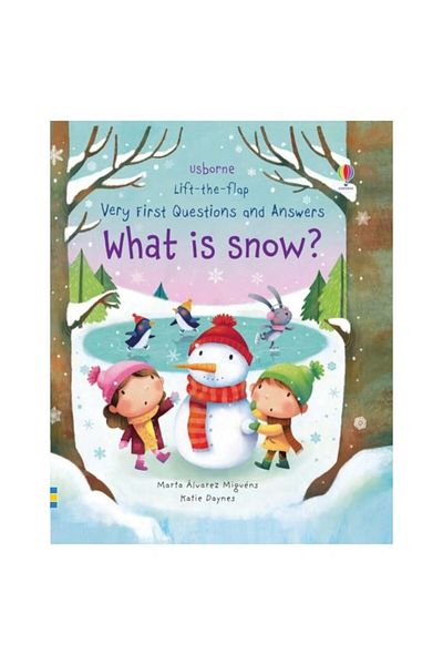 Usborne What Is Snow?, Katie Daynes
