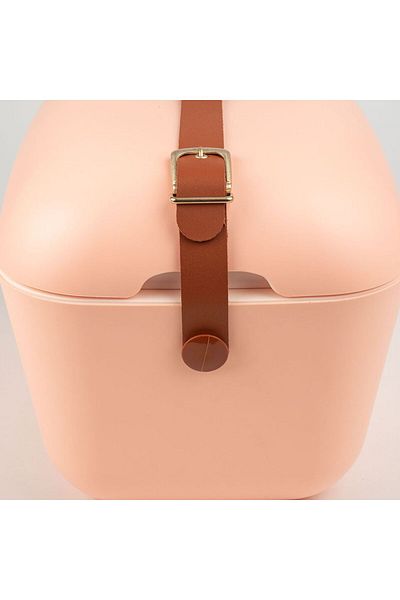 Polarbox Cooler box, Polarbox, Gold, 20 liters, coral