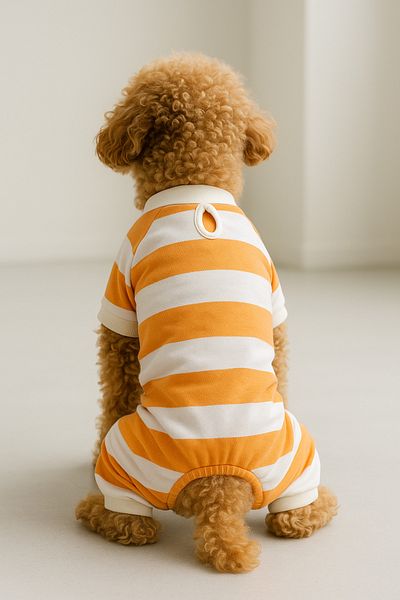 MPZ Pets Cat & Dog Outfit & Dress - 4 Leg Jumpsuit Orange with White Stripes