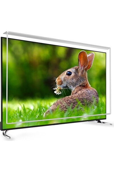 Armor 70'' 170 EKRAN TV EKRAN KORUYUCU / EKRAN KORUMA PANELİ