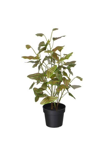 IKEA Artificial Potted Plant, Indoor/Outdoor Butterfly Plant, 34 x 9 cm
