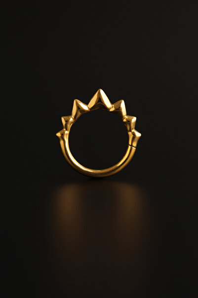 depozoom 316l Cerrahi Çelik Kilitli Halka Piercing