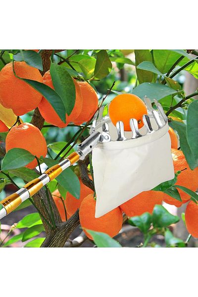 Türkiye Fruit Picker Tool, Adjustable Fruit Harvester, Fruit Picking Pole with Extendable Pole and Non-Slip