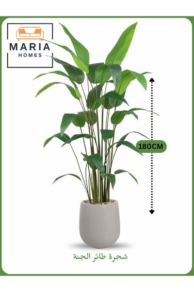MARIA HOMES Artificial Bird of Paradise Tree 180 cm – Tall Indoor Plant with Beige Gray Pot
