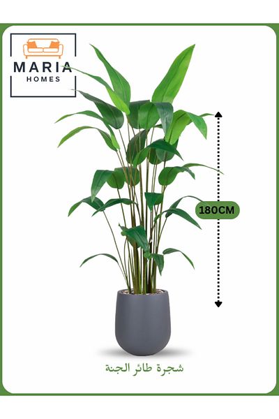 MARIA HOMES Artificial Bird of Paradise Tree 180 cm – Tall Indoor Plant with Gray Pot