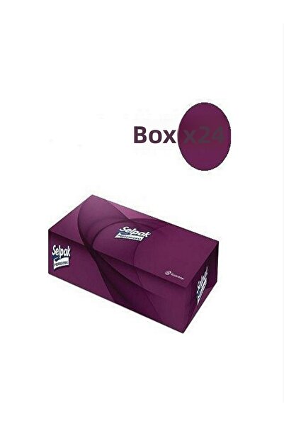 Selpak Professional Extra Box Wipes 80 Sheets 24 Packs in a Box