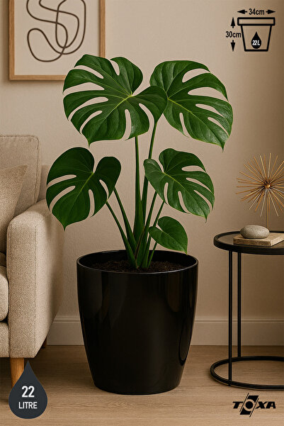 ToXA 22 Litre 34cm Siyah Tabaksız Izgaralı Parlak Plastik Yakut Saksı No5