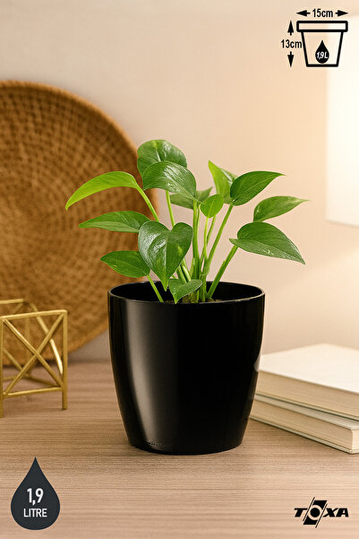 ToXA 1.9 Litre 15cm Drenaj Izgaralı Tabaksız Parlak Siyah Plastik Yakut Saksı...