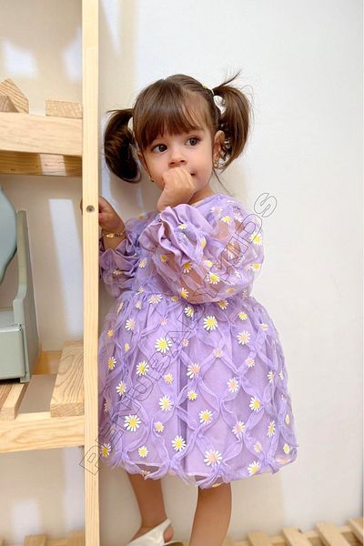 penu baby kids Lilac Embroidery Daisy Embroidered Tulle Long Sleeve Baby Girl & Girl Dress - Elisa