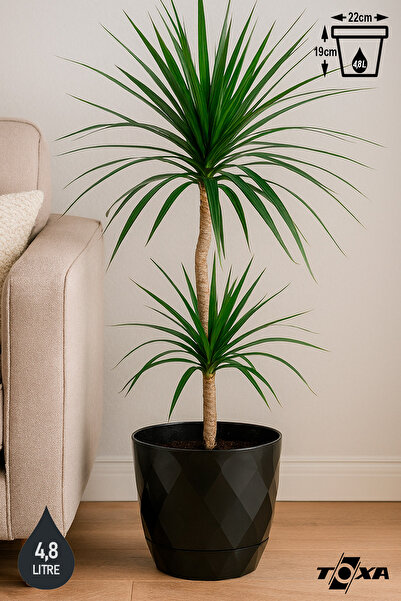 ToXA 4,8 Litre 22cm Baklava Desenli Delikli Tabaklı Dekoratif Plastik Saksı Y...