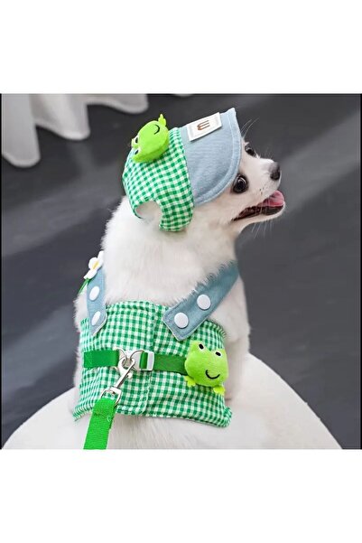 Payidar Hediyelik ŞAPKALI GÖĞÜS TASMASI SET (3 PARÇA) Nefes Alabilir ve Konforlu KEDİ/KÖPEK
