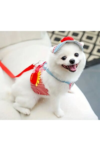 Payidar Hediyelik ŞAPKALI GÖĞÜS TASMASI SET (3 PARÇA) Nefes Alabilir ve Konforlu