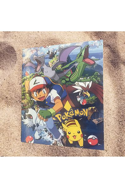 taso8090 Pokemon Folder