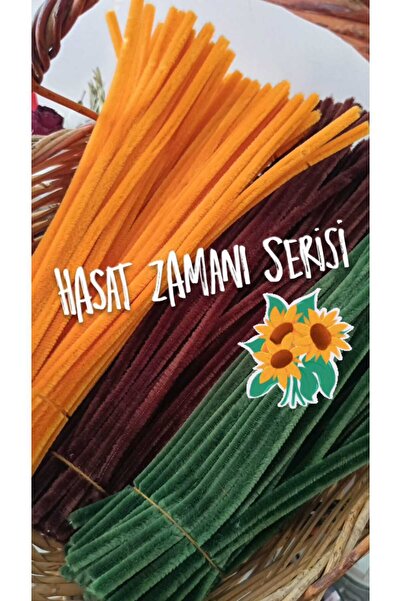 hobidaşım Hasat Zamanı Şönil – 30’lu Set Her Birinden 10'ar Tane Deney Malzem...