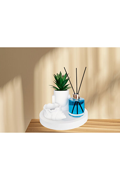 Netsepeti Modern Tasarım Beton Saksıda Yapay Sukulent,Bambu Çubuklu Oda Koku100ml,Deniz Kabuğu Mumluk,Tepsi