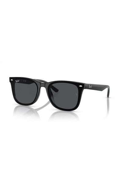 Ray-Ban 0Rb4420 601-87 65