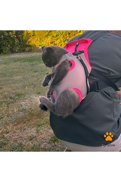 Epatim Cat and Dog Carrier