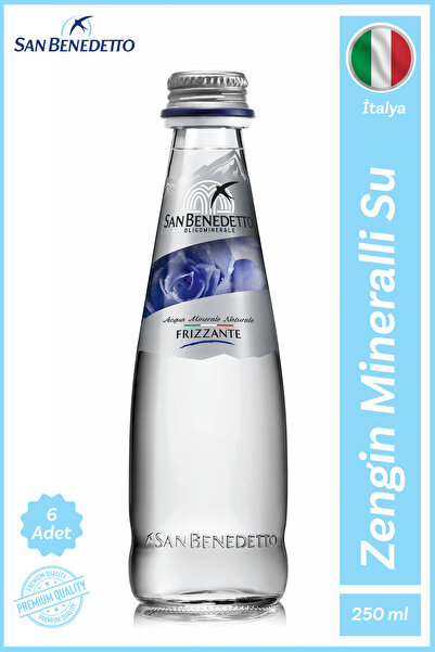 San Benedetto Maden Suyu Cam Şişe 6x250ml
