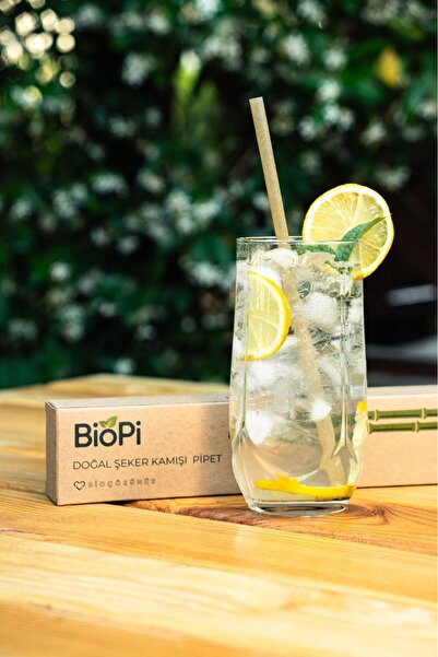 BioPi Şeker Kamışı Pipet - 60 Adet