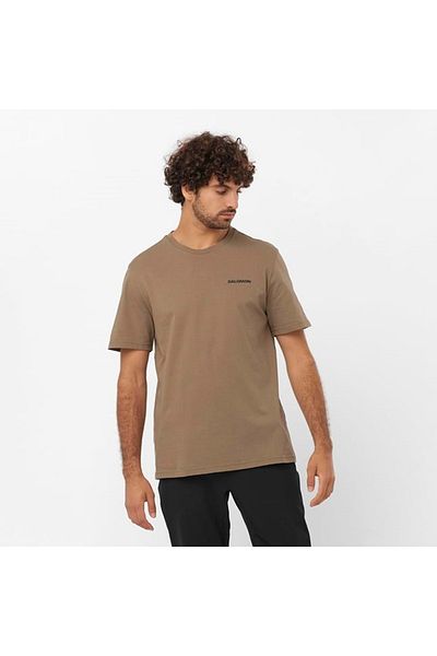Salomon LC2219 - Ανδρικό T-shirt: Graphic Perf SS Tee, Καφέ