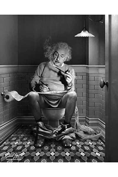 Genel Markalar KOMİK WC TUVALET KANVAS TABLO BANYO OFİS DÜKKAN DEKARASYON SÜSÜ ÖLÇÜ SEÇİNİZ :)